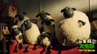 小羊爆料视频下载安装,轻松获取热门内容 第1张 小羊爆料视频下载安装,轻松获取热门内容 第1张