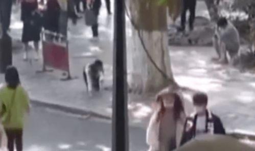 风景爆料女主播视频大全,带你领略自然之美  第1张